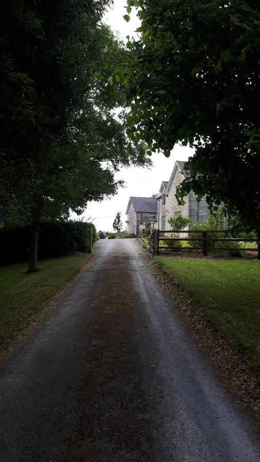 Lorum Old Rectory Bagenalstown 외부 사진