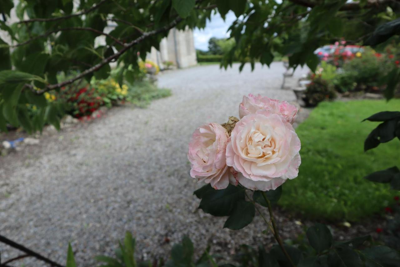 Lorum Old Rectory Bagenalstown 외부 사진